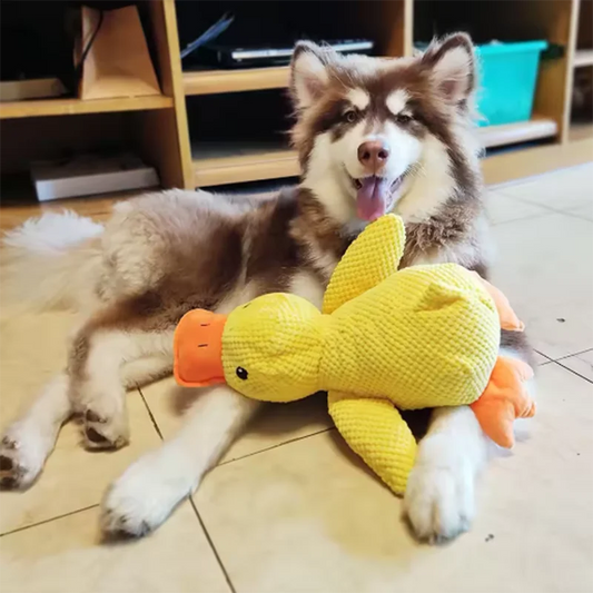 Brinquedo fofo para cachorro, pato pisoteador, resistente a mordidas, entretenimento interativo para cachorro, brinquedo de pelúcia antitédio para filhotes