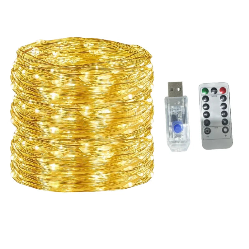 Fio de Fada LED com Controle Remoto