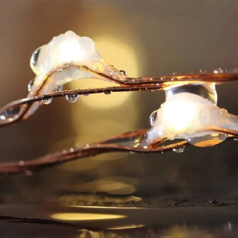 Fio de Fada LED com Controle Remoto